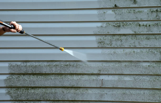 Best Sidewalk and Walkway Cleaning  in Nescopeck, PA