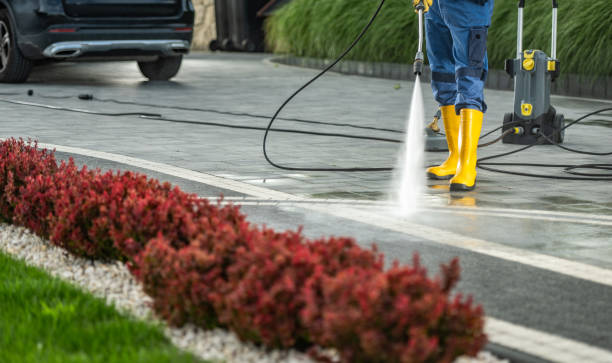 Best Soft Washing  in Nescopeck, PA